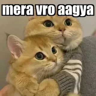 Telegram sticker 😀 @SticRboy7 Sᴛɪᴄᴋᴇʀs