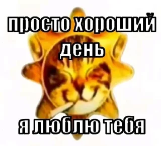 Telegram sticker 🌟 блять…похуй :: @fStikBot
