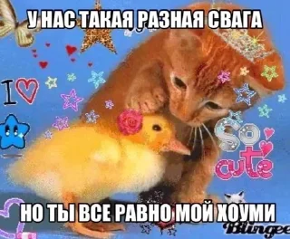 Telegram sticker 🌟 блять…похуй :: @fStikBot