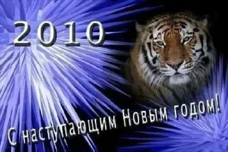 Sticker 🎉 блять…похуй :: @fStikBot