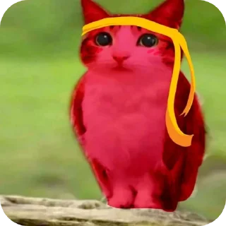 Telegram sticker 🐱 Воробушек создано Ne_Skoroo