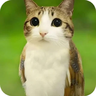 Sticker 🐦 Воробушек создано Ne_Skoroo