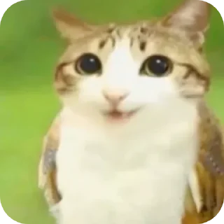 Telegram sticker 🐱 Воробушек создано Ne_Skoroo