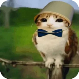 Telegram sticker 🐦 Воробушек создано Ne_Skoroo