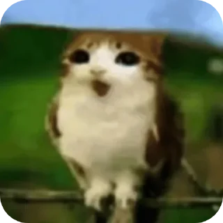 Telegram sticker 🐶 Воробушек создано Ne_Skoroo