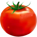 Video sticker 🍅 DogGiraffe