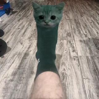 Телеграм стикер 🧦 @nftstroy