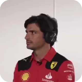 Video sticker 😌 f1 grid like a totem animals :: @fStikBot