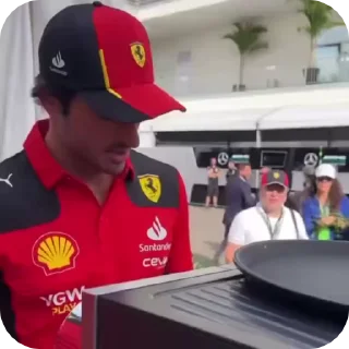 Video sticker 🫥 f1 grid like a totem animals :: @fStikBot