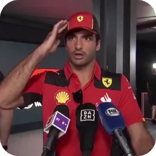 Video sticker 🤨 f1 grid like a totem animals :: @fStikBot