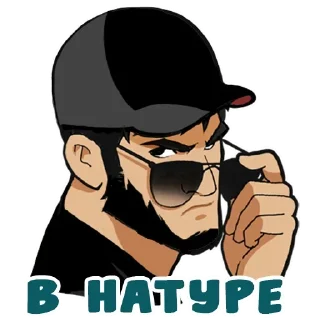 Video sticker 🤨 Это Кавказ