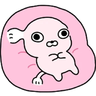 Telegram sticker ⭐ 빡빡개 강사장 4 @moe_sticker_bot