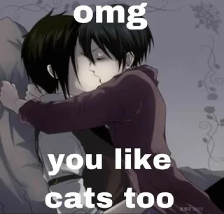 Video sticker 😽 мяссо :: @fStikBot