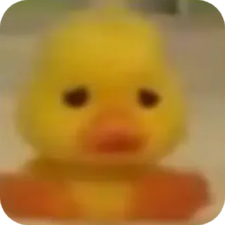 Video sticker 🐣 sponsor: @KhurShidism