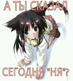 Video sticker 🐱 я торчу на героине