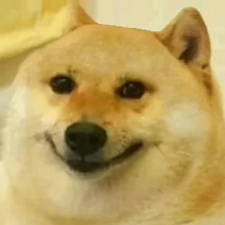 Sticker 🙂 dogetothemoon