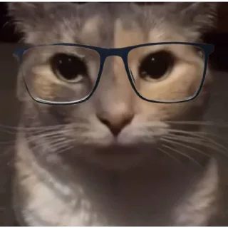 Sticker 🎍 ابولیشونم😼