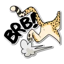 Video sticker 💨 Cheetah