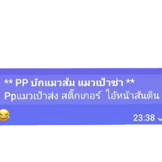 Video sticker 👍 pao