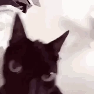 Telegram sticker 😱 ملصقات انسان