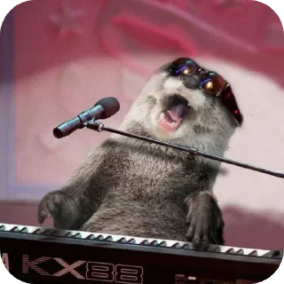 Telegram sticker 🎤 수달콘이당