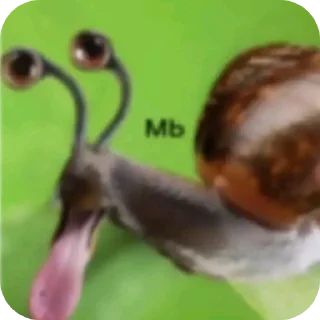 Video sticker 🐦 Бред фридом 2 :: @fStikBot