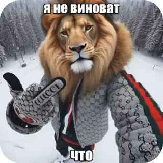 Video sticker 🐶 gooners pack