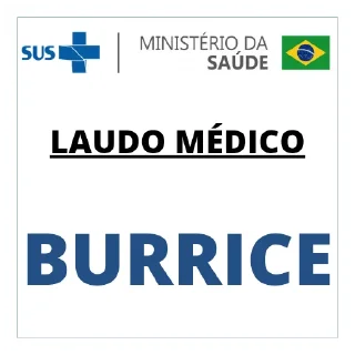 Telegram sticker 😀 LAUDO MÉDICO SINCERO 📝🩺