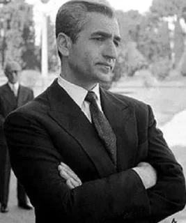 Video sticker ♻️ Си Джей Коннор @CGConnor