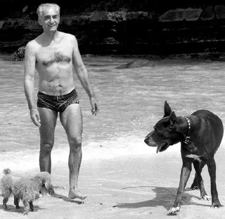 Telegram sticker ♻️ Си Джей Коннор @CGConnor