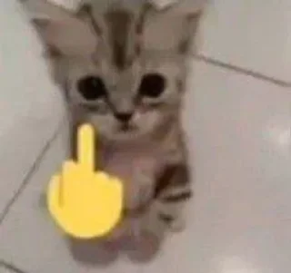 Telegram sticker 🖕 мяу :: @fStikBot