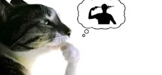 Telegram sticker 😳 ни! ➡️ @Ctikerubot