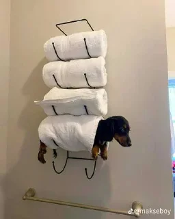 Video sticker 😎 ни! ➡️ @Ctikerubot