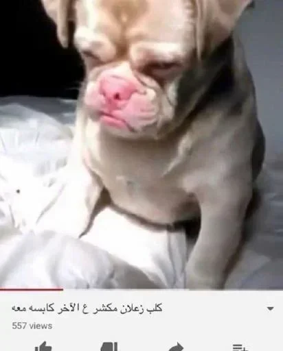 Телеграм стикер 😭 Edward