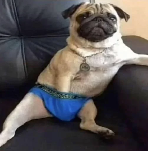 Sticker 👮‍♂️ Edward