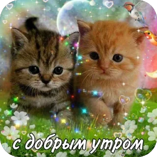 Telegram sticker 🫥 Alona