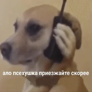 Telegram sticker 📞 Alona