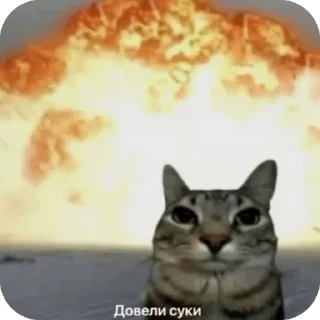 Telegram sticker 🫥 Alona