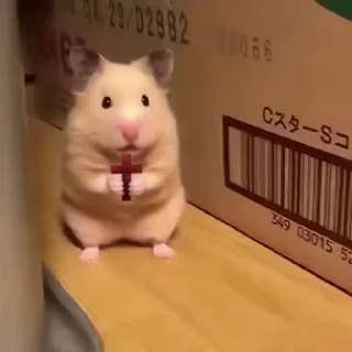 Video sticker 🌟 Alona