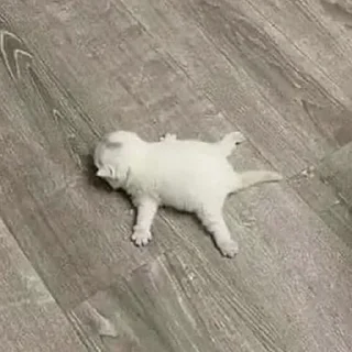 Telegram sticker 😮‍💨 Alona