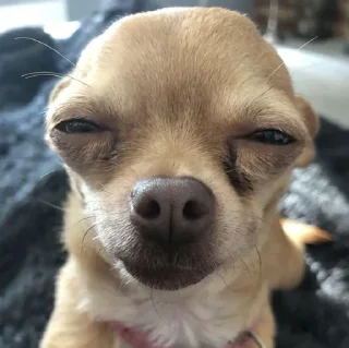 Telegram sticker 🤔 Alona