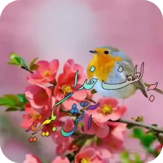 Telegram sticker 👍 Elahi Bemirin