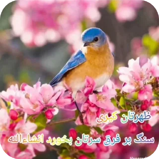 Telegram sticker 👍 Elahi Bemirin