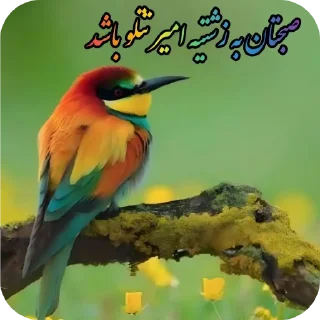 Telegram sticker 👍 Elahi Bemirin