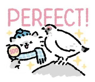Video sticker 🐈 ₍ Birɗ ᥕᥲᴛᥴɦᥱr 𑀝AT𐍃 ₎ ˚₊· ♡ @mewsticks
