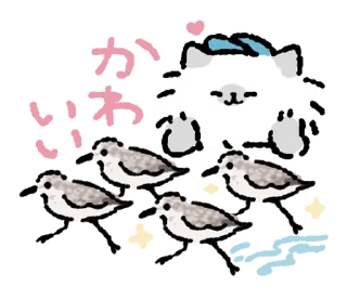 Video sticker 🐈 ₍ Birɗ ᥕᥲᴛᥴɦᥱr 𑀝AT𐍃 ₎ ˚₊· ♡ @mewsticks