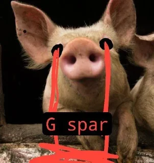 Telegram sticker 🌟 Свиньи шотают 💀💀разраб->@T_NO1NE :: @fStikBot