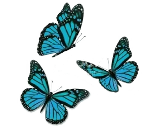 Telegram sticker 🦋 @gifsandimages cute — @stckrRobot