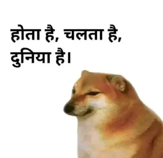 Telegram stiker 🙂 Dragon Slayers cheems pack