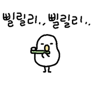 Telegram sticker ⭐ 애기 키위새 한마리 데려가세요~ 4 @moe_sticker_bot